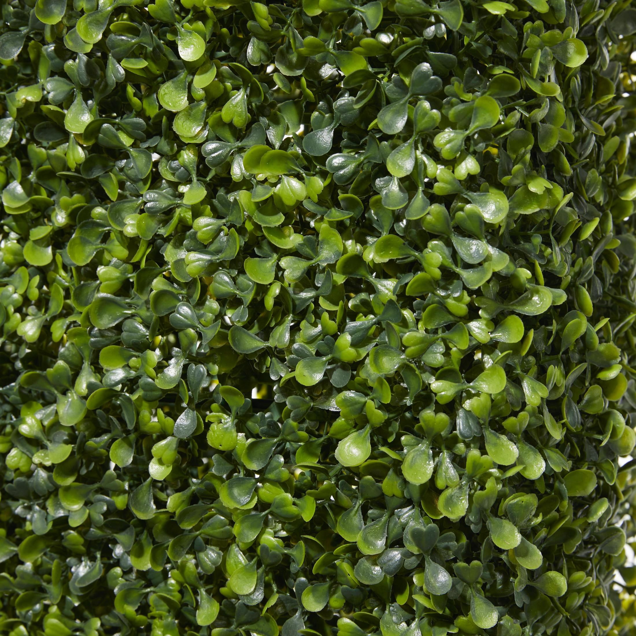 DecMode 66" Tall Boxwood Hedge Artificial Topiary in Realistic Leaves and Black Cement Planter Box