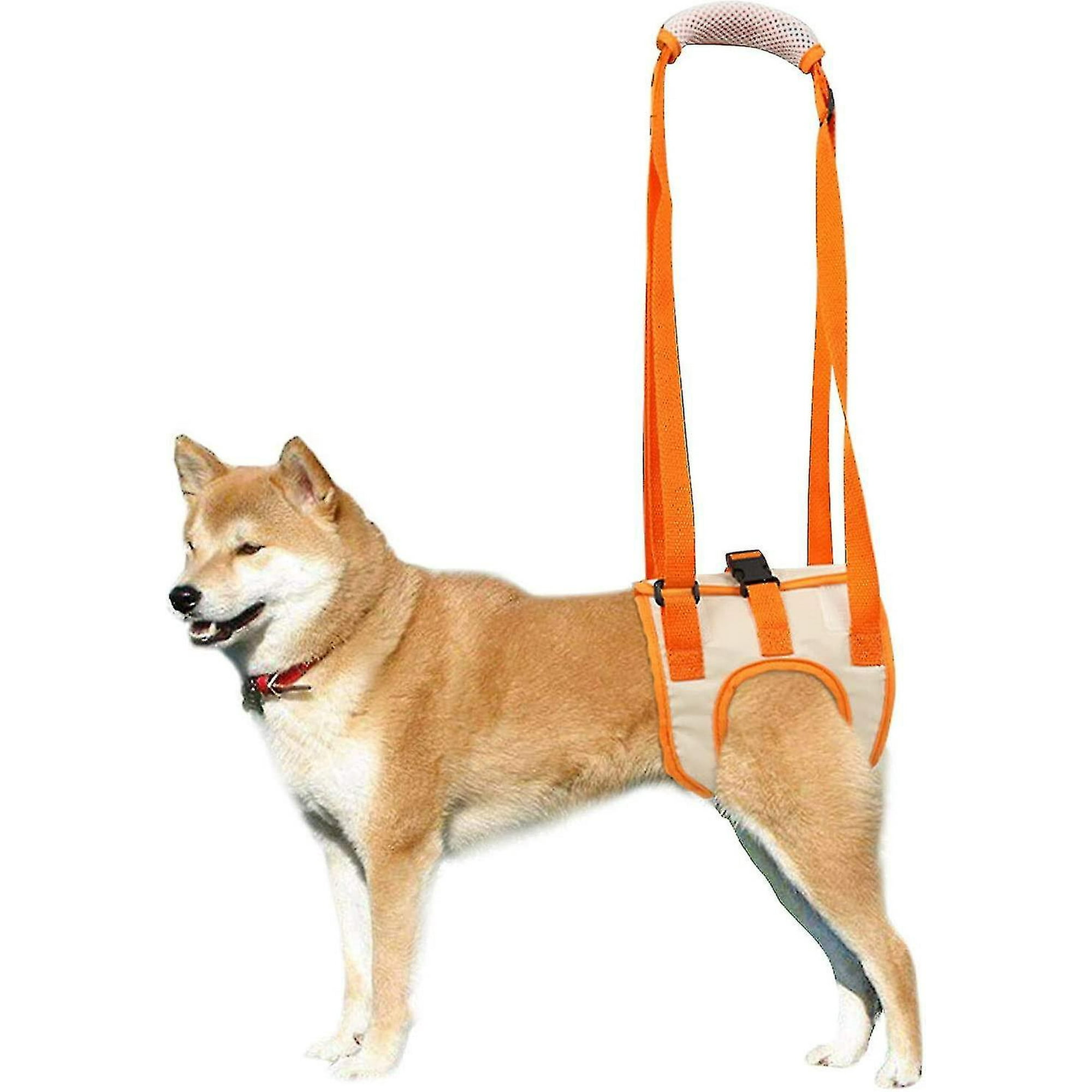 Dog rear support sling online