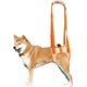thumbnail image 1 of Arnés de elevación para perros, ayuda de soporte trasero para mascotas, cabestrillo aprobado por veterinarios para perros viejos K9, ayuda con poca estabilidad, 1 of 5