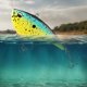 thumbnail image 2 of Swimbait Crankbait Cebo Duro Artificial VIB Fishing Lure 8cm 21 G Casting Largo para Lubina Y Lucio, 2 of 6