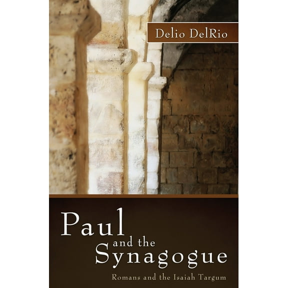Paul and the Synagogue (Paperback)