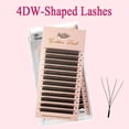 thumbnail image 1 of Goddess 3D/4D/5D W Shape pestañas 4D Premade Fan Lash Extensions 0.07 C/D Curl Natural Soft High Quality Idividual Lashes Dengxun unisex, 1 of 2