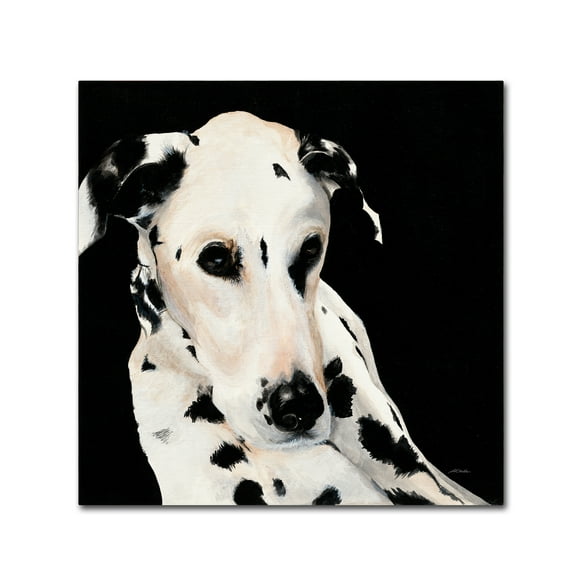 Trademark Fine Art 'Smokey' Canvas Art by Patsy Ducklow