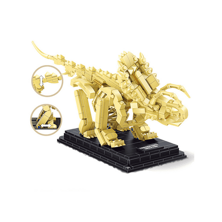 KIT DE FOUILLE De Fossiles De Dinosaures (Dino Dig Kit) National