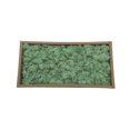 thumbnail image 2 of Injueey Musgo Artificial de flores preservadas, Color sólido sintético portátil, bricolaje, reemplazo vívido, adorno de liquen para césped y jardín Plantas Artificiales Verde claro Injueey HA084267-03, 2 of 6