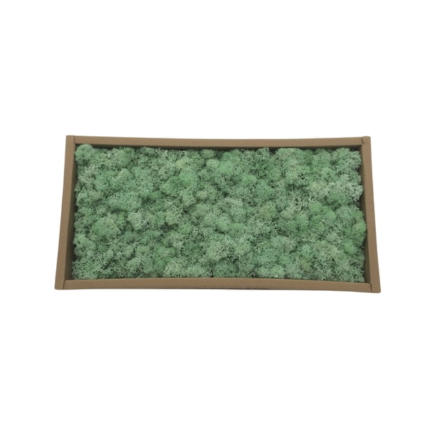 Yuarrent Musgo Artificial de flores preservadas, Color sólido sintético, reemplazo de bricolaje de larga duración, liquen de césped, accesorio de Plantas Artificiales Verde claro Yuarrent HA084267-03