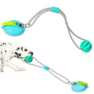 1pc Green Pet Dog Toy Self-entertaining Flying Disc Auto-feeder With Tpr  Material, For Dogs Only