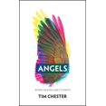 thumbnail image 1 of Pre-Owned Angels: When Heaven Meets Earth (Paperback) 1527108864 9781527108868, 1 of 1