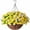 A3, variant on Artificial Flowers Hanging Basket for Outdoor Spring Decoration,Hanging Planter for Home Garden Patio Yard Porch Lawn 11.81Inch