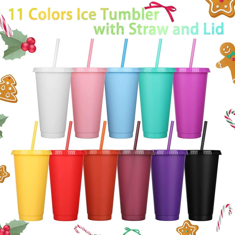 6 Packs Tumbler with Straw and Lid Water Bottle Reusable Cups Tumblers and  Water Glasses Plastic Drinking Straw Tumbler Iced Coffee Travel Mug Cup for  Parties Birthdays Adults(24 oz, Assorted Color) 