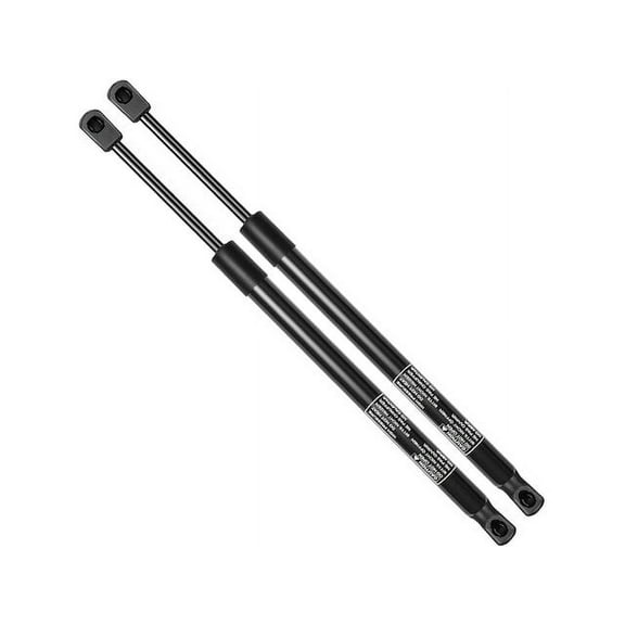 Tailgate Strut Set 2 - Compatible with 2008 - 2019 Dodge Grand Caravan 2009 2010 2011 2012 2013 2014 2015 2016 2017 2018