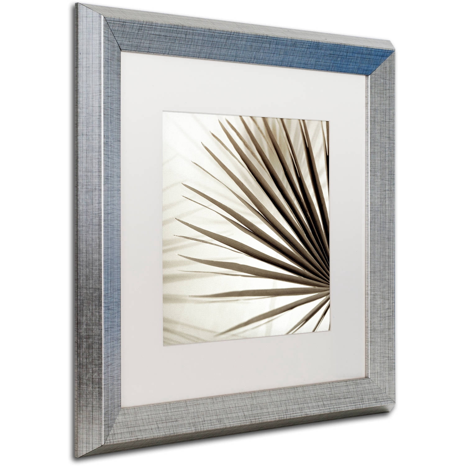 Trademark Fine Art "Florison 66" Canvas Art by Alan Blaustein, White Matte, Silver Frame
