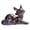 Each day, variant on hejhncii Handmade Ceramic Foxes Statue Water Activated Color Changing Decoration For Teas Ritual And Collections