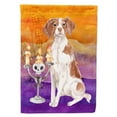 thumbnail image 1 of Carolines Treasures CK3198GF Hallween Brittany Spaniel Drapeau de Jardin, 1 of 3