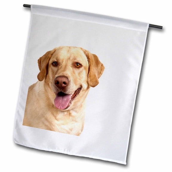 3dRose, Oregon, Keizer, Labrador Retriever dog - US38 RBR0163 - Rick A. Brown, 12 x 18 inch Garden Flag