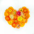 thumbnail image 2 of Frank, Assaf 20x20 White Modern Wood Framed Museum Art Print Titled - Heart made of flowers, 2 of 4