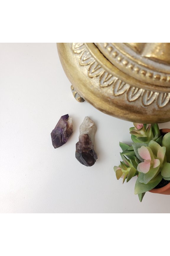 Amethyst Natural Point Specimens from Colorado .5 to 3"