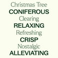thumbnail image 5 of Plant Therapy Christmas Tree Holiday Essential Oil Blend 100% Pure, Undiluted, Natural Aromatherapy 10 mL (1/3 oz), 5 of 9