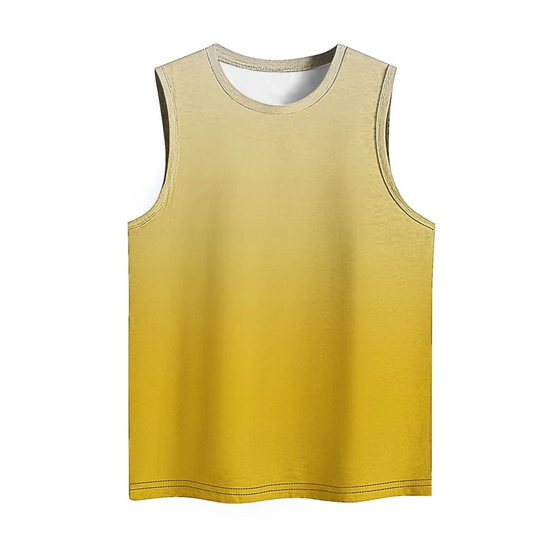 Fznquz Gradient Camisole for Women Crew Neck Sleeveless Trendy