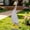 🔥 Beige B_New, variant on TTJ Gifts Solar Windmill Garden Stake Lights Colorful LED Wind Spinner Waterproof Outdoor Solar-Powered Yard Decor Patio Pathway Light Whimsical Garden Art Holiday Lawn Accent