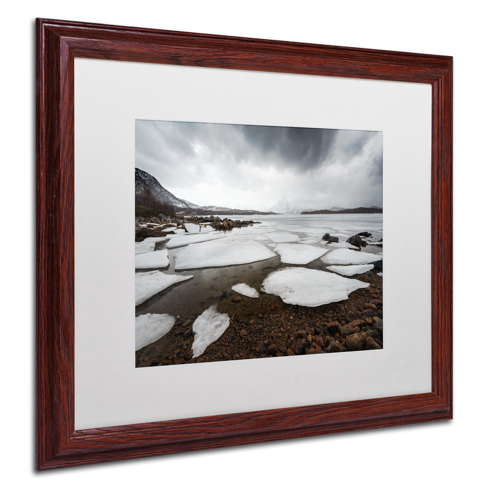 Trademark Fine Art "Wildest Dreams" Canvas Art by Philippe Sainte-Laudy, White Matte, Wood Frame
