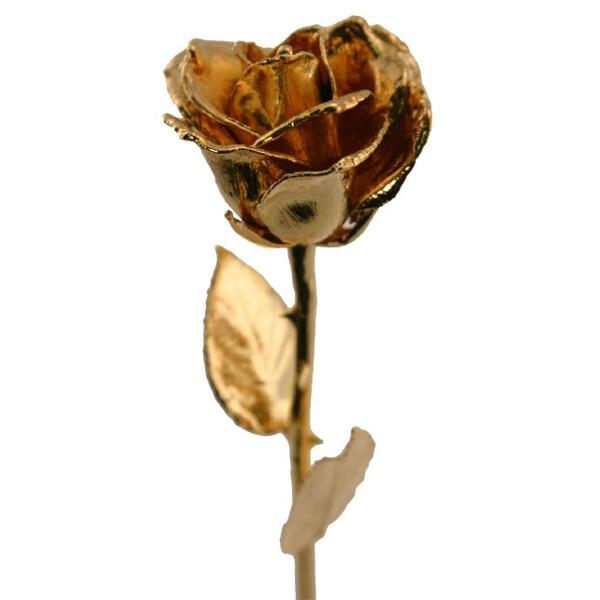Gold Dipped Roses Walmart Com Walmart Com
