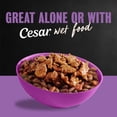 thumbnail image 5 of Cesar Filet Mignon Flavor with Vegetable Garnish Small Breed Dry Dog Food, 2.7 lb bag, 5 of 11