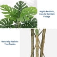 thumbnail image 2 of Qinaqin 6-Foot Artificial Monstera de Profundidadliciosa Plant con a Negro Pot Grande Fake Tropical Floor Tree para Indoor o Outdoor Hogar Oficina Living Sala Profundidadcor, 2 of 7
