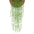 thumbnail image 1 of 5PCS Simulation Succulents Lover Tears Green Rattan Wall Hangings Artificial Plant Home Party Decor,82cm Simulation Succulents Lover Tears Green Rattan Artificial Plant, 1 of 6