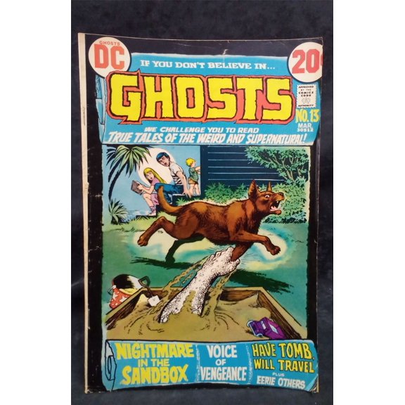 Pre-Owned Ghosts #13 1973 DC Comics Comic Book