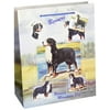 BERNESE MOUNTAIN DOG GIFT BAGS, SET OF 5 Large Gift Bags by Ruth Maystead