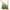 Green, variant on Aofany Shorts For Kids Girls Running Athletic Shorts Dance Soccer Shorts Bike Shorts Casual Loose Gradation Shots 5-14 Years