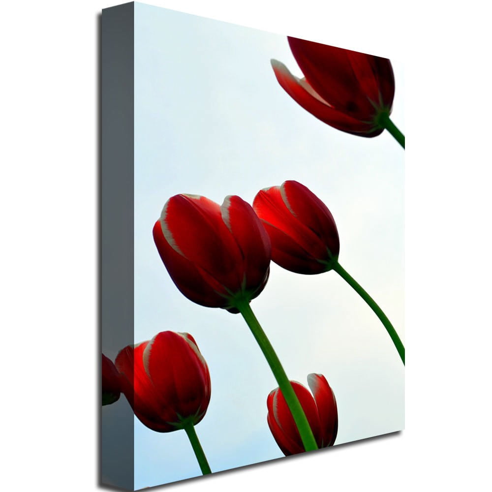 Trademark Global Michelle Calkins "Red Tulips from the Bottom Up" Canvas Art, 47" x 30"