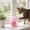 Pink#43, variant on Motorized Walking Rolling Pink Hamster Toy for Kids Toddlers, Cute 5.12x5.12x3.35in Interactive Electronic Stuffed Critter Pet for Playful Fun