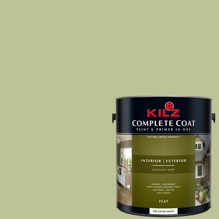 Kiwi, KILZ COMPLETE COAT Interior/Exterior Paint & Primer in One, (Best Seafoam Green Paint Color)