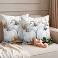 thumbnail image 2 of White Pumpkins Fall Outdoor Waterproof Pillow Covers, Thanksgiving Pumpkin Botanical Decorative Square Throw Pillowcase Sofa Cushion Sham for Patio/Couch/Chair, 16"x16" 2 Pack, 2 of 8