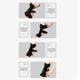 thumbnail image 4 of Falcía Nocturna de Fascitis plantar, transpirable flexible CÓMODO AJUSTABLE AJUSTABLE DE SOPORTE DE SOPORTE DE PIE 3 CORREAS PARA LA NOCHE PARA LA TENDITIS DE, 4 of 7