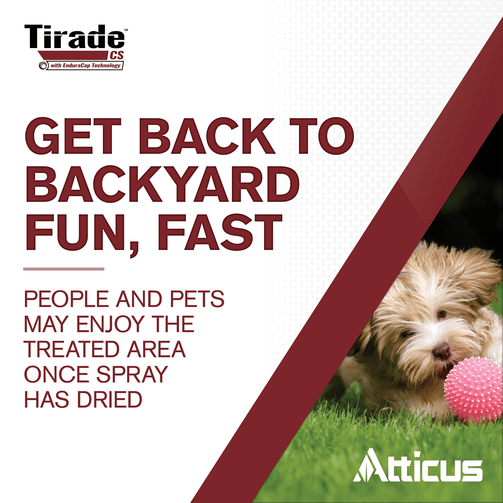 Tirade CS Insecticide (16 oz) Time-Released Indoor & Outdoor Pest Control for Ants, Flies, Fleas, Mosquitoes and More – 6% Cyfluthrin Liquid Concentrate by Atticus