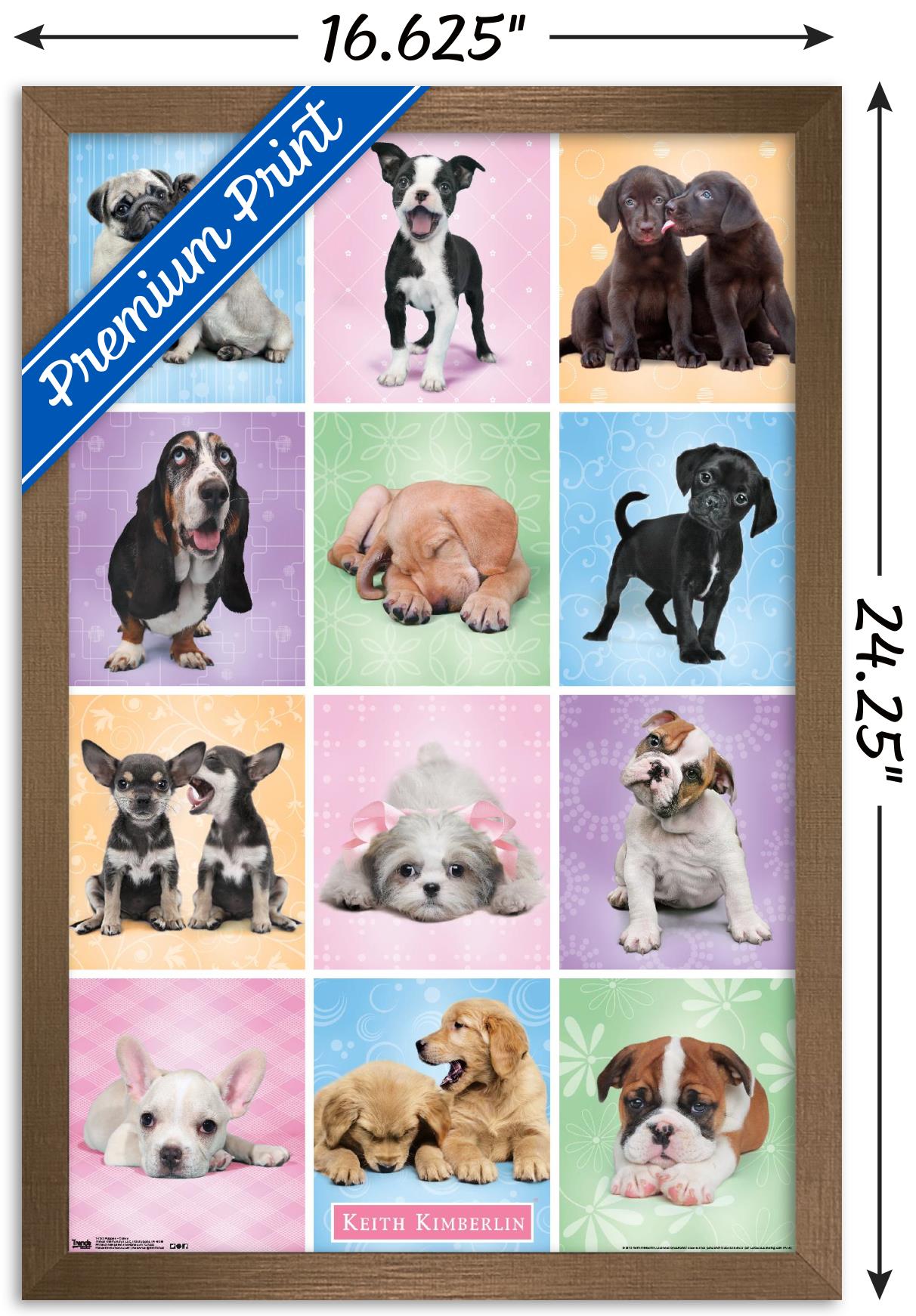 Keith Kimberlin - Puppies - Cuties Grid Wall Poster, 14.725" x 22.375", Framed