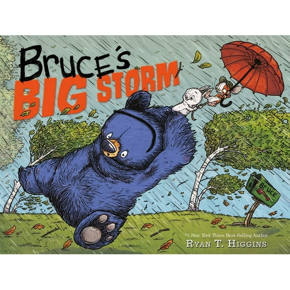Mother Bruce Bruce's Big Storm, (Hardcover)