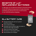 thumbnail image 3 of AJC Battery Compatible with Suzuki LT-F4WDX KingQuad OPT 280CC ATV Replacement Battery (1991-2002), 3 of 4