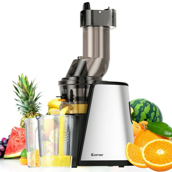 Costway Slow Masticating Juicer Cold Press Extractor Stainless Steel Wide Chute w/ Brush