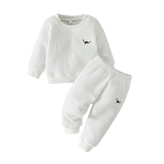 MEZZALL Boys Dinosaur Outfits Long Sleeve Hoodie And Pants Sets Sweatshirt Tops Hoodie Trousers Pant Sets Casual O-neck Comfortable Toddler Clothes For Daily Wear Leisure Child Clothes Sets