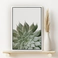 thumbnail image 2 of PixonSign Framed Canvas Print Wall Art Sundial Echeveria Succulent Botanical Flower Photography Modern Art Contemporary Relax/Calm Green Cool for Living Room, Bedroom, Office - 16"x24" White, 2 of 5