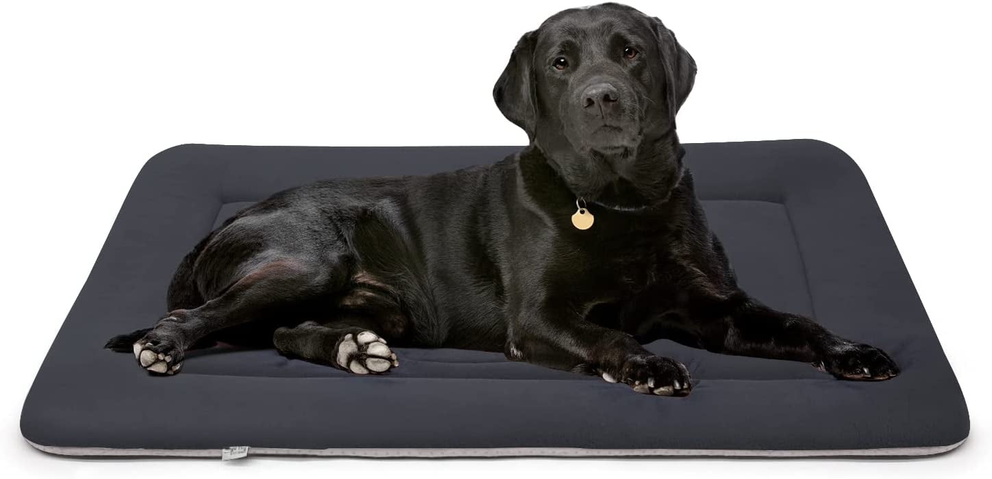 petbroo heating pad for pets