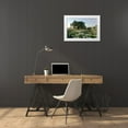 thumbnail image 3 of Blaustein, Alan 24x17 White Modern Wood Framed Museum Art Print Titled - Oak Tree - 89, 3 of 4