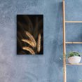 thumbnail image 4 of Epic Art 'Golden Grass I' by Lori Deiter Acrylic Glass Wall Art, 16"x24", 4 of 8