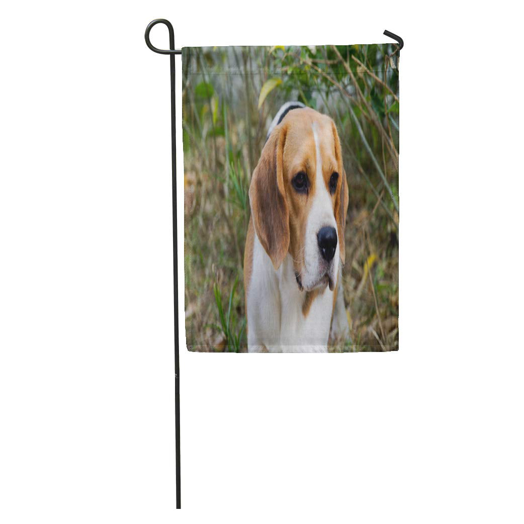 Beagle Decorative Flag 
