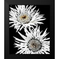 thumbnail image 2 of Bannon, Heidi 20x23 Black Modern Framed Museum Art Print Titled - Black and White Awakening, 2 of 5