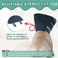 thumbnail image 4 of Collar de cono de perro suave para perros pequeños, medianos y grandes, collar de cono de perro isabelino para perros y gatos MFZFUKR CPB-CJZ1024-3, 4 of 6